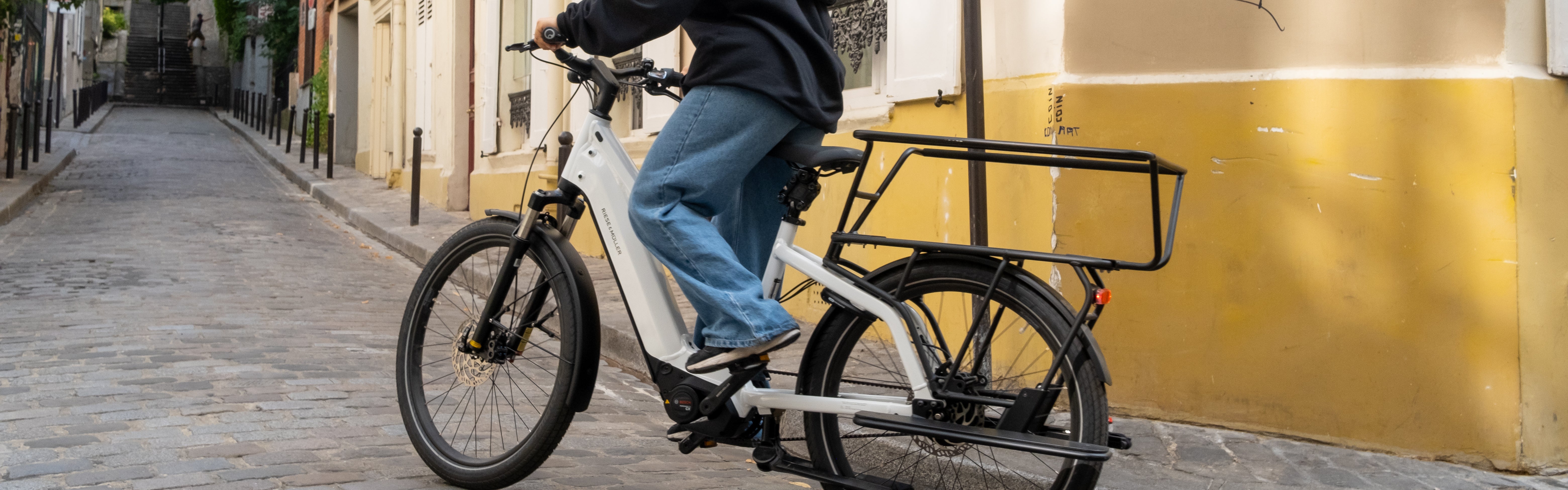 Velo cargo riese muller cheap