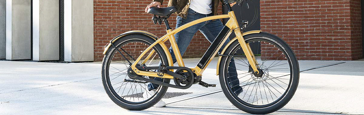 Reine Bike